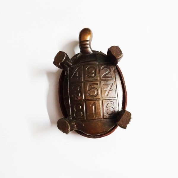 Tortoise2 scaled