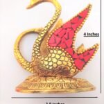 Swan1 1